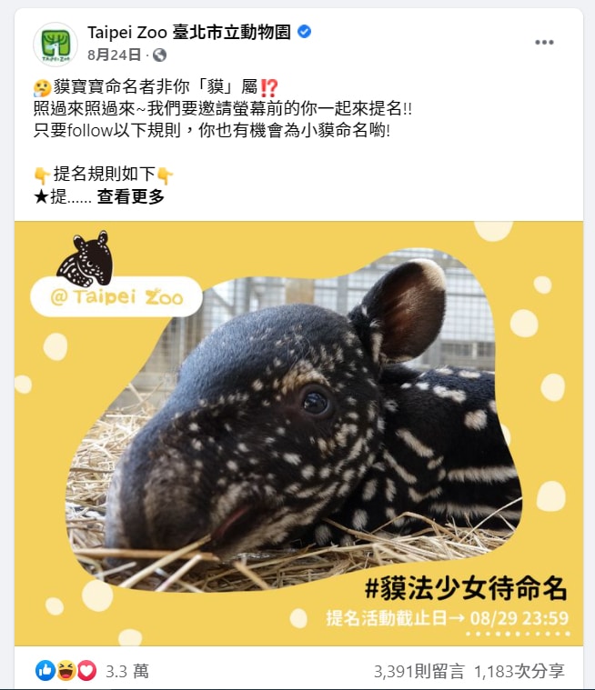 台北市立動物園在facebook粉絲專頁設計的命名活動
