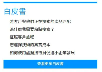 白皮書手段呈現。